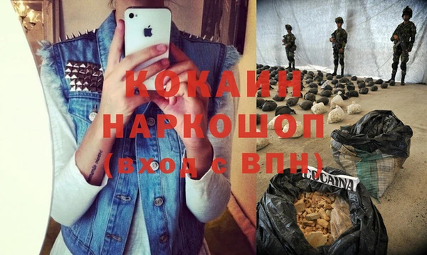 твердый Кодинск