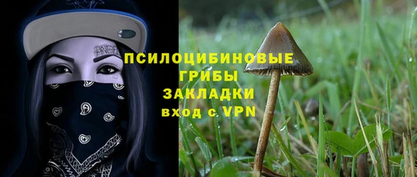 стаф Козловка
