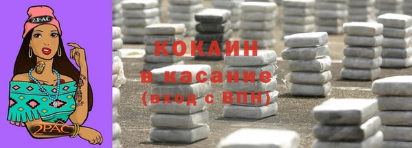 стаф Козловка