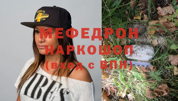 стаф Козловка