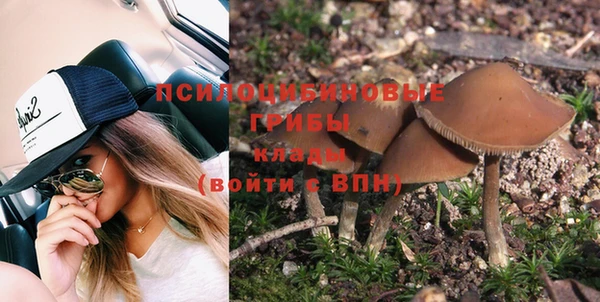твердый Кодинск