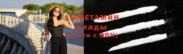 стаф Козловка