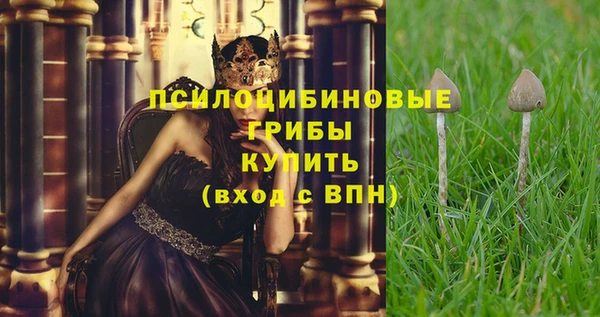 твердый Кодинск