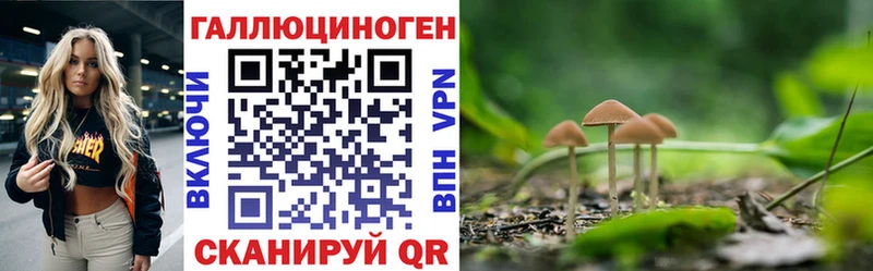 Псилоцибиновые грибы мицелий Снежногорск